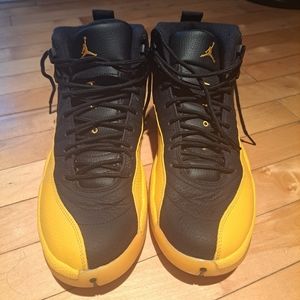 Air Jordan 12